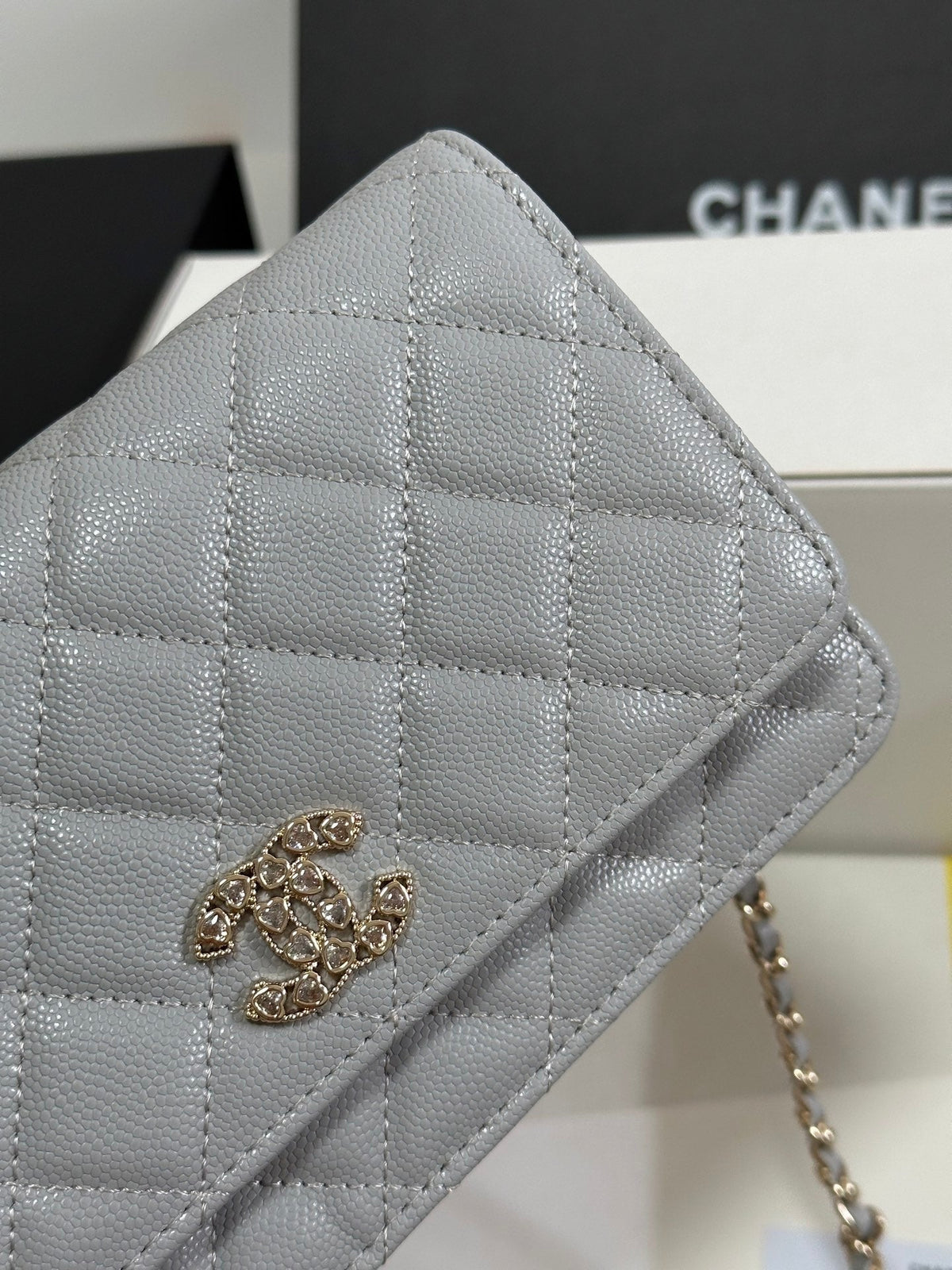 CHANEL STRASS WOC ENTRUPY BAG 19 IN SPANISH GREY CALFSKIN GOLD HARDWARE